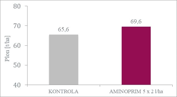 Wpływ organicznego stymulatora wzrostu AMINOPRIM na plon ziemniaka odmiany Innovator. Stancja Doświadczalna Oceny Odmiany Upraw w Karżniczce, 2016. 